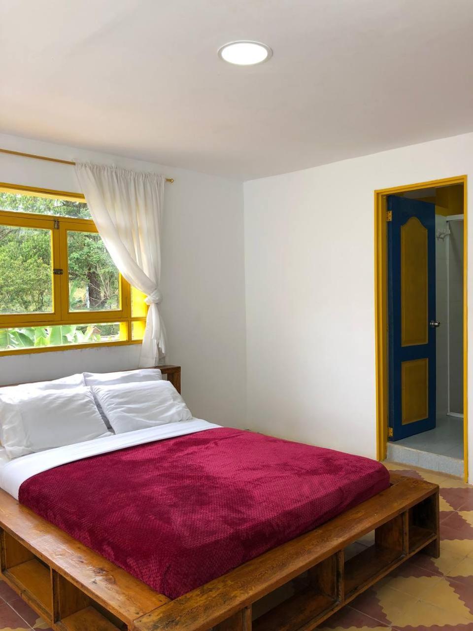 Alegria Hostel Boutique กัวตาเป ห้อง รูปภาพ